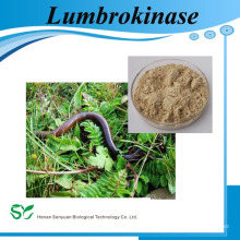 Hersteller liefern hohe Qualität Lumbrokinase 16837-14-2 schnelle Lieferung